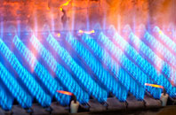 Selside gas fired boilers